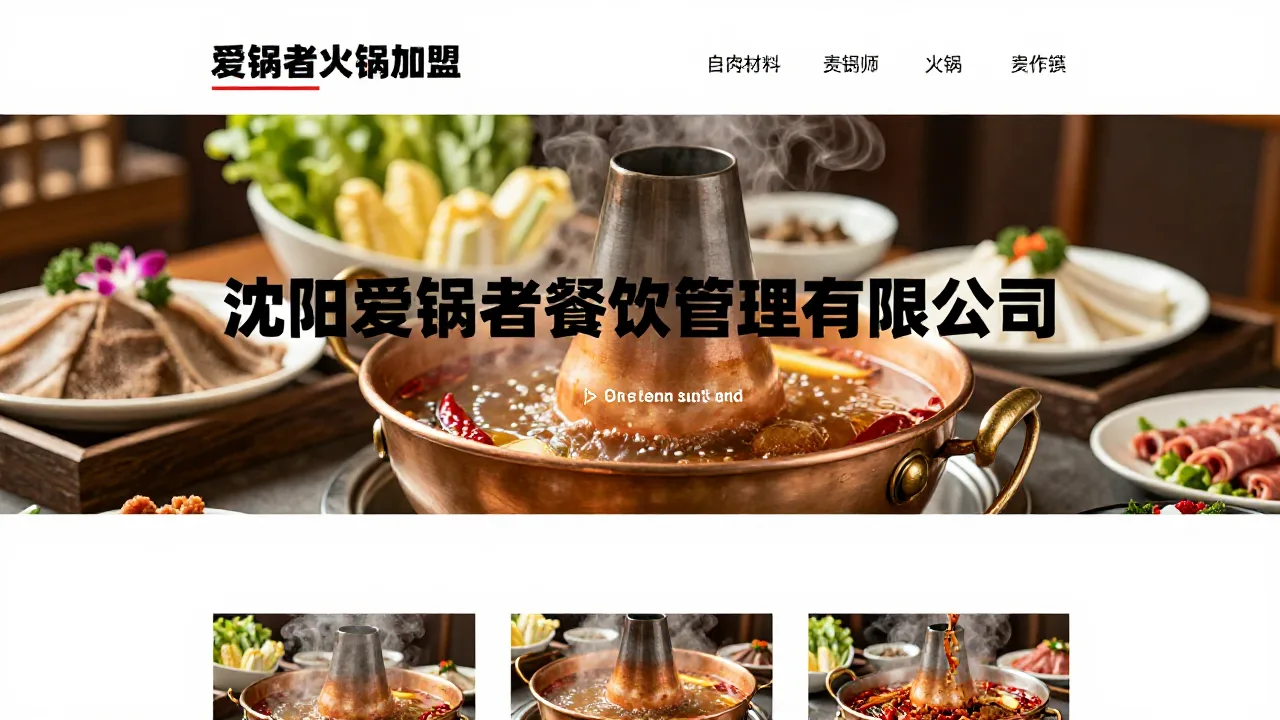 深圳雷猴新能源